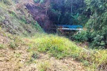 Raub Durian Plantation