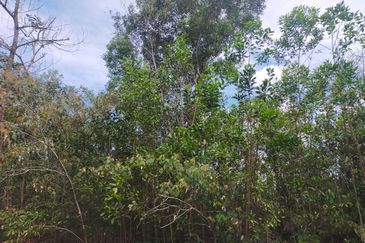 Nilai Springs Heights