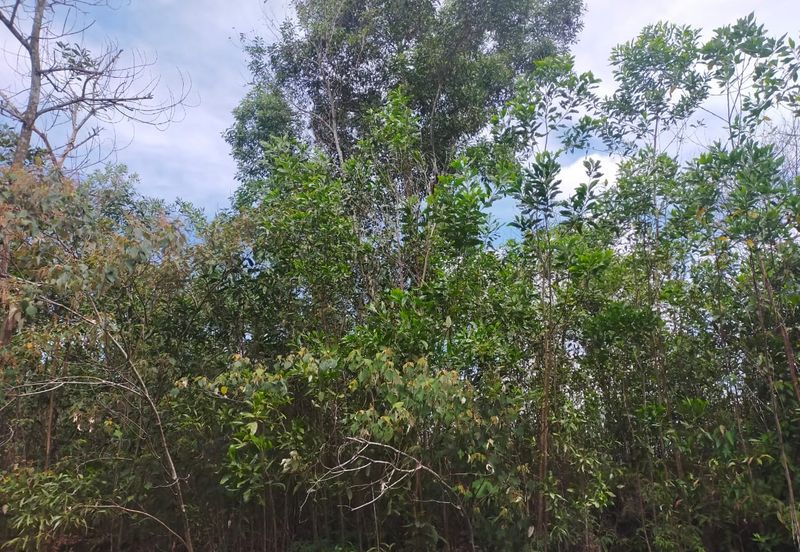 Nilai Springs Heights