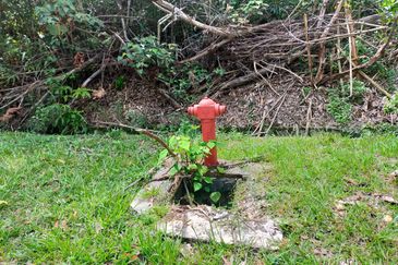 Nilai Springs Heights