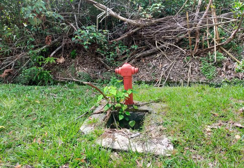 Nilai Springs Heights