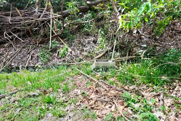 Nilai Springs Heights