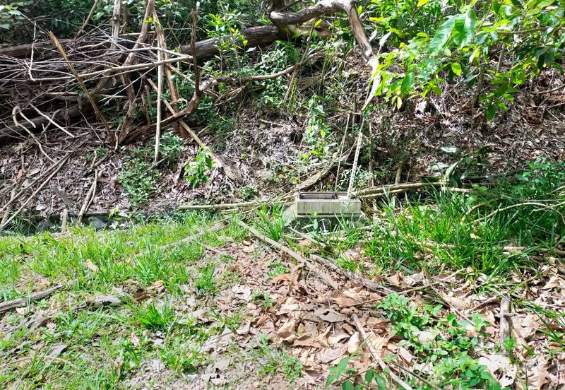 Nilai Springs Heights