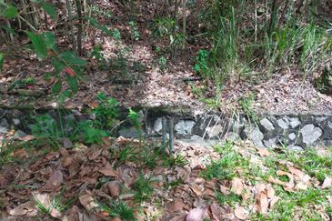 Nilai Springs Heights