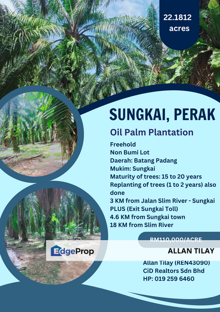 Sungkai Oil Palm Plantation, Perak, Sungkai