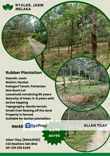 Jasin Nyalas Rubber Plantation, Melaka, Jasin