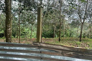 Nyalas Rubber Plantation