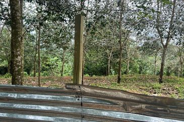 Nyalas Rubber Plantation