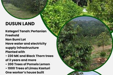 Batang Kali Dusun Land