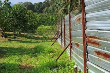 Batang Kali Dusun Land