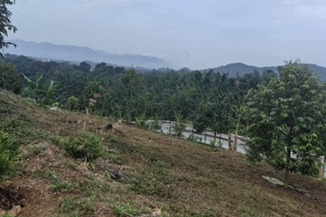Batang Kali Dusun Land