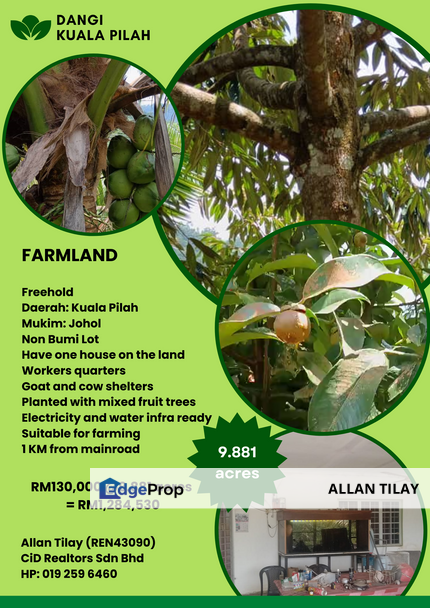 Dangi Kuala Pilah Farmland, Negeri Sembilan, Kuala Pilah