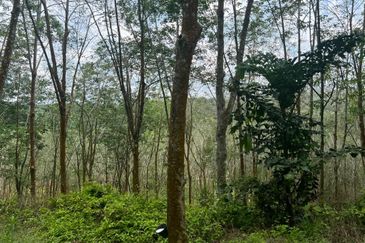 Johol Kepis Rubber Land