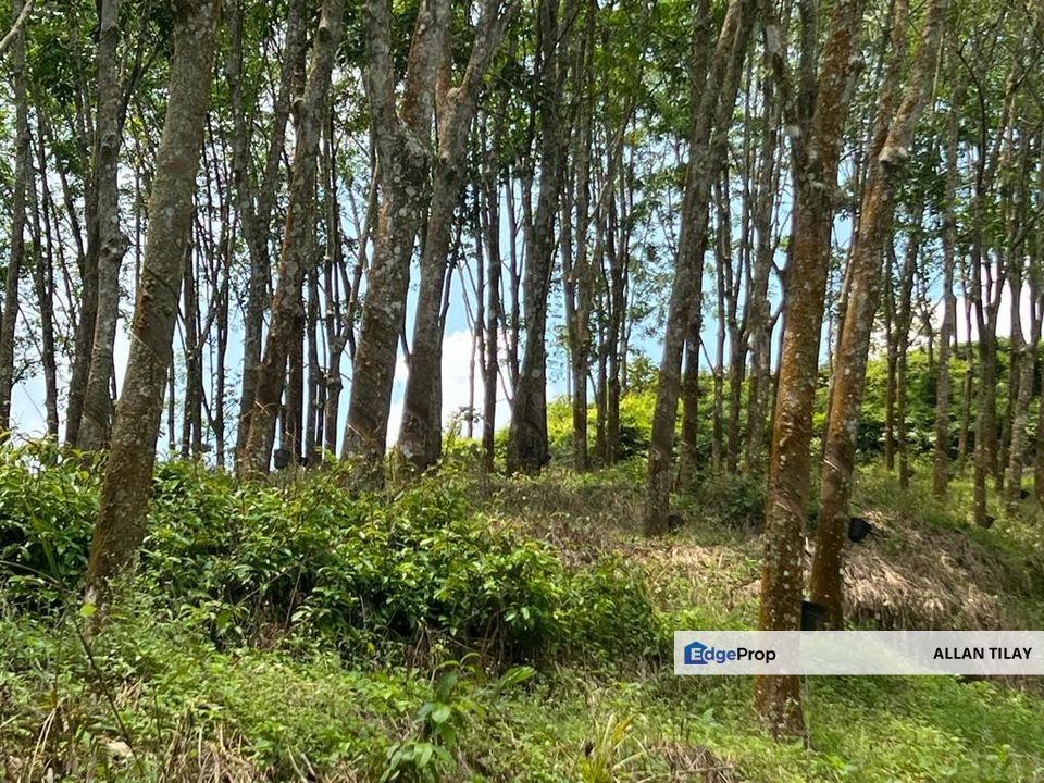 Johol Kepis Rubber Land, Negeri Sembilan, Kuala Pilah