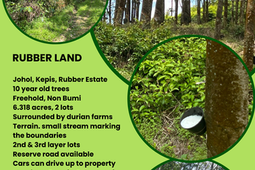 Johol Kepis Rubber Land
