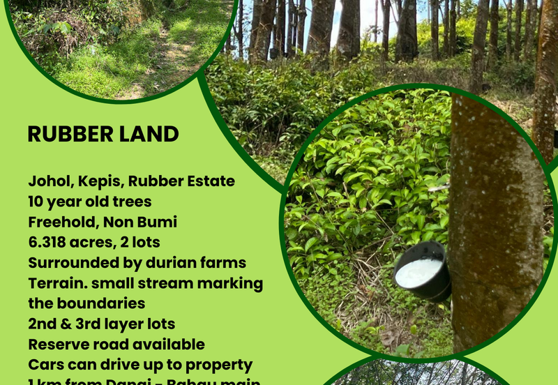 Johol Kepis Rubber Land