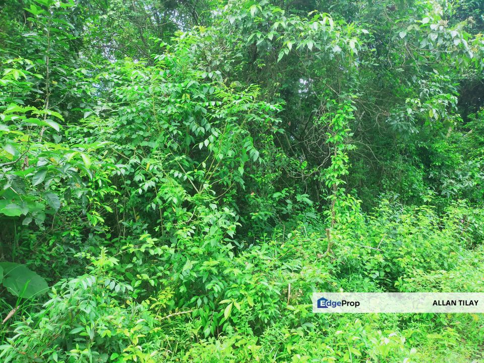 Linggi Vacant Agricultural Land, Negeri Sembilan, Port Dickson