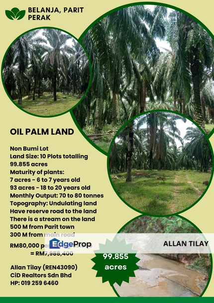 Belanja Parit Perak Oil Palm Plantation, Perak, Parit