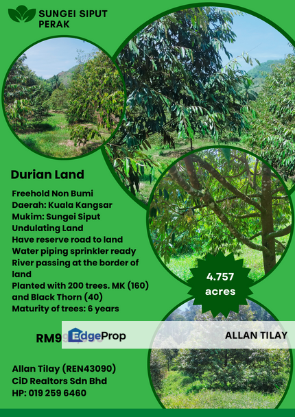 Sungai Siput Durian Land, Perak, Kuala Kangsar