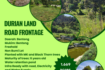 Bentong Durian Land Road Frontage
