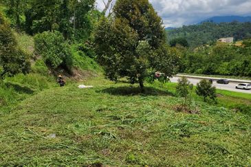Bentong Durian Land Road Frontage