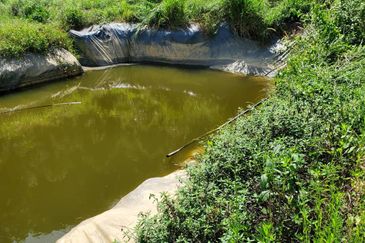 Bentong Durian Land Road Frontage