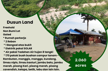 Dong Bukit Kemuning Dusun Land