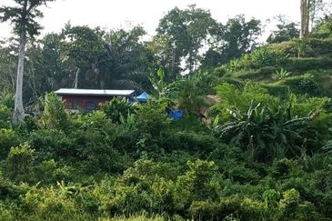 Dong Bukit Kemuning Dusun Land