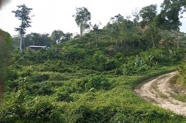 Dong Bukit Kemuning Dusun Land