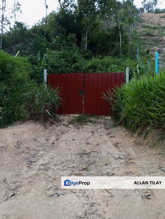 Dong Bukit Kemuning Dusun Land, Pahang, Raub