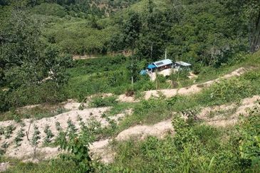 Dong Bukit Kemuning Dusun Land