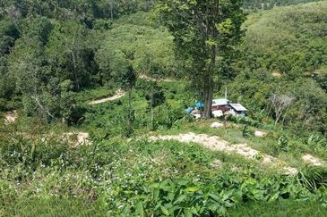 Dong Bukit Kemuning Dusun Land