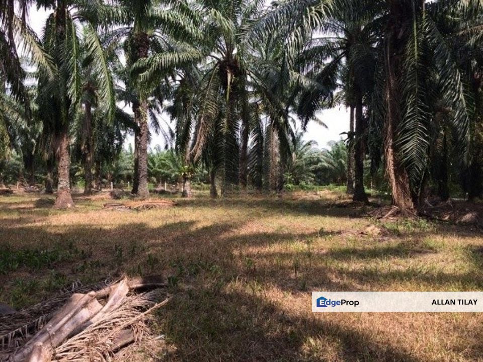 Sitiawan Kampung Lumut Kiri Vacant Land, Perak, Manjung