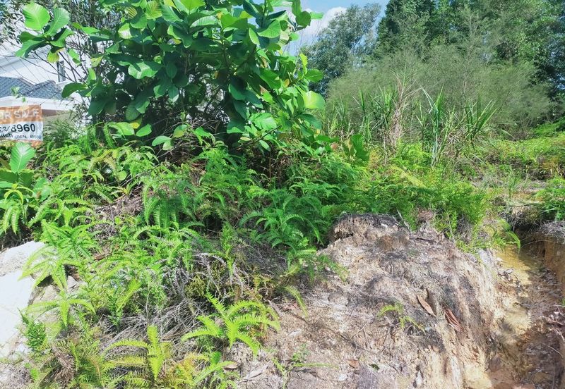 Bandar Bukit Mahkota