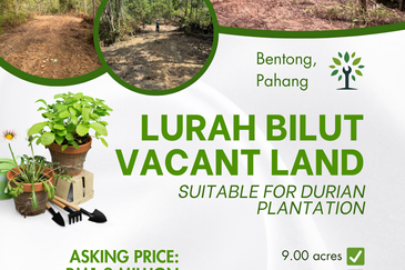 Bentong Lurah Bilut Vacant Land