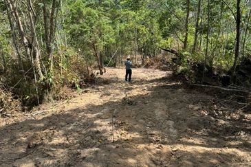 Bentong Lurah Bilut Vacant Land