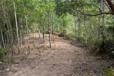 Bentong Lurah Bilut Vacant Land