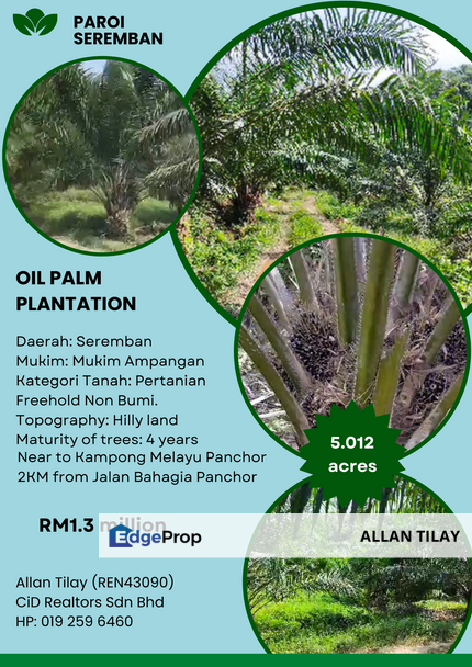 Seremban Paroi Oil Palm Land, Negeri Sembilan, Seremban