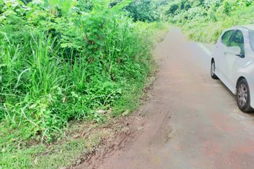 Jalan Mutiara, Nilai 7