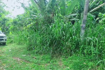 Jalan Mutiara, Nilai 7