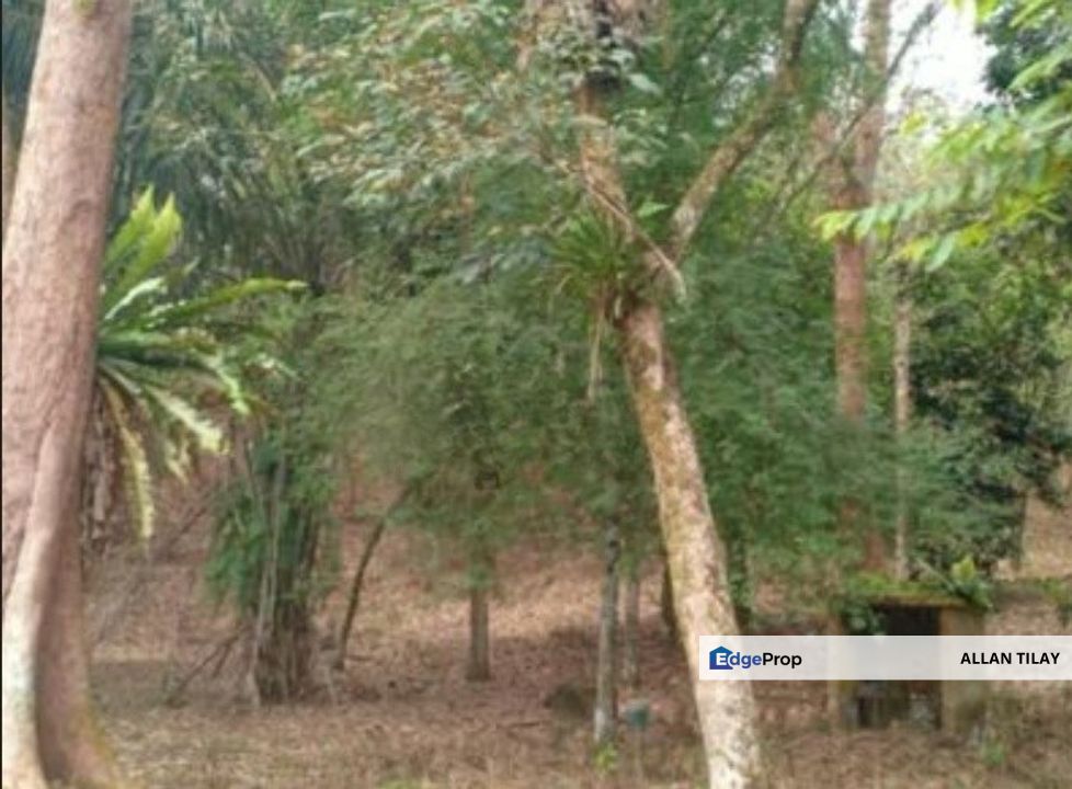 Batang Padang Chenderiang Vacant Land, Perak, Slim River
