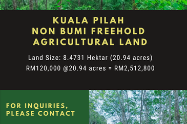 Vacant Agricultural Land @ Kuala Pilah