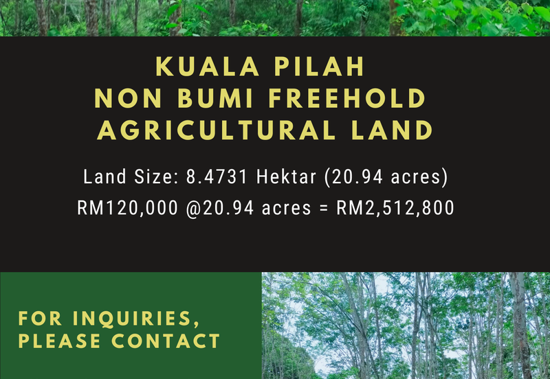 Vacant Agricultural Land @ Kuala Pilah