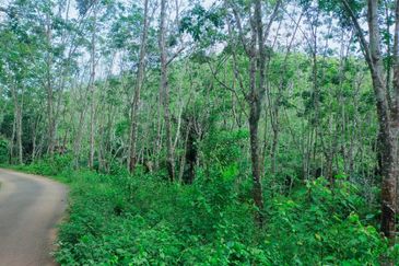 Vacant Agricultural Land @ Kuala Pilah