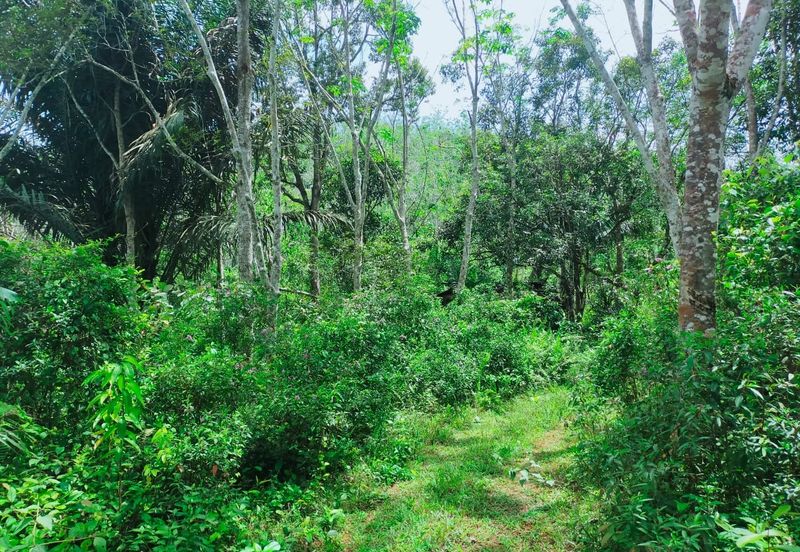 Vacant Agricultural Land @ Kuala Pilah