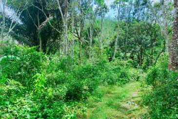 Vacant Agricultural Land @ Kuala Pilah