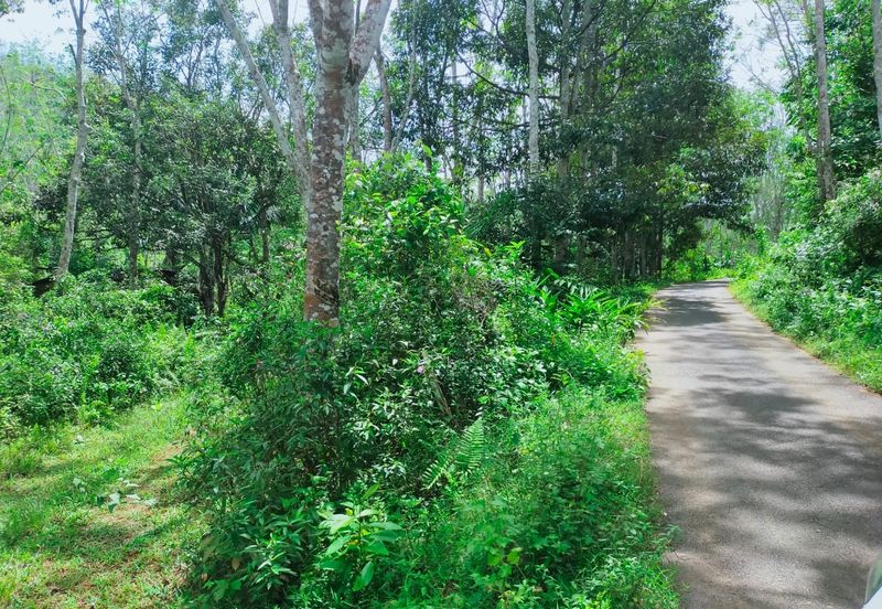 Vacant Agricultural Land @ Kuala Pilah