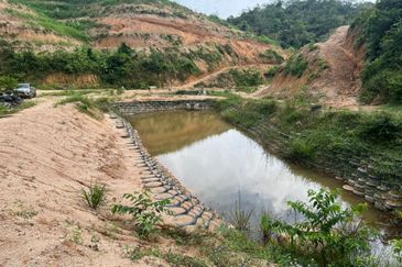 Durian Land @ Kuala Pilah (Near Town)