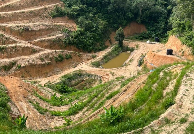 Durian Land @ Kuala Pilah (Near Town)