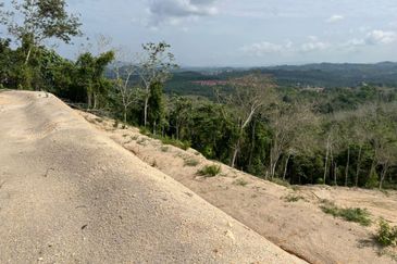 Durian Land @ Kuala Pilah (Near Town)